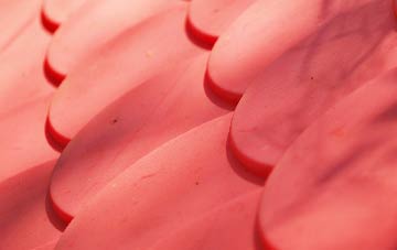 Clarilaw plastic roof costs